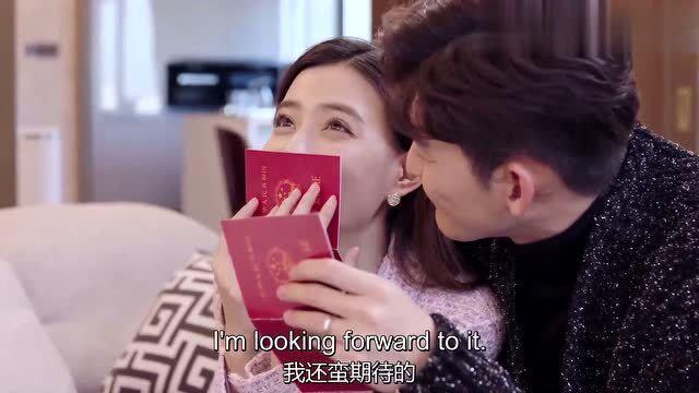 卑鄙的小妖精