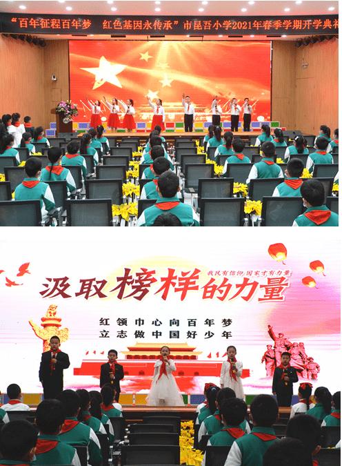 解救金刚鹦鹉