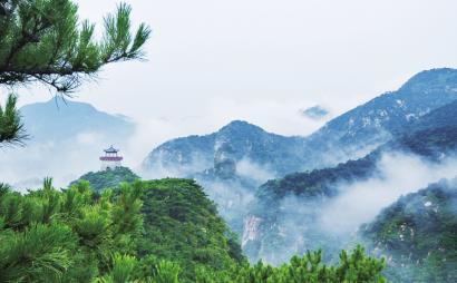 爱丽丝和闺蜜